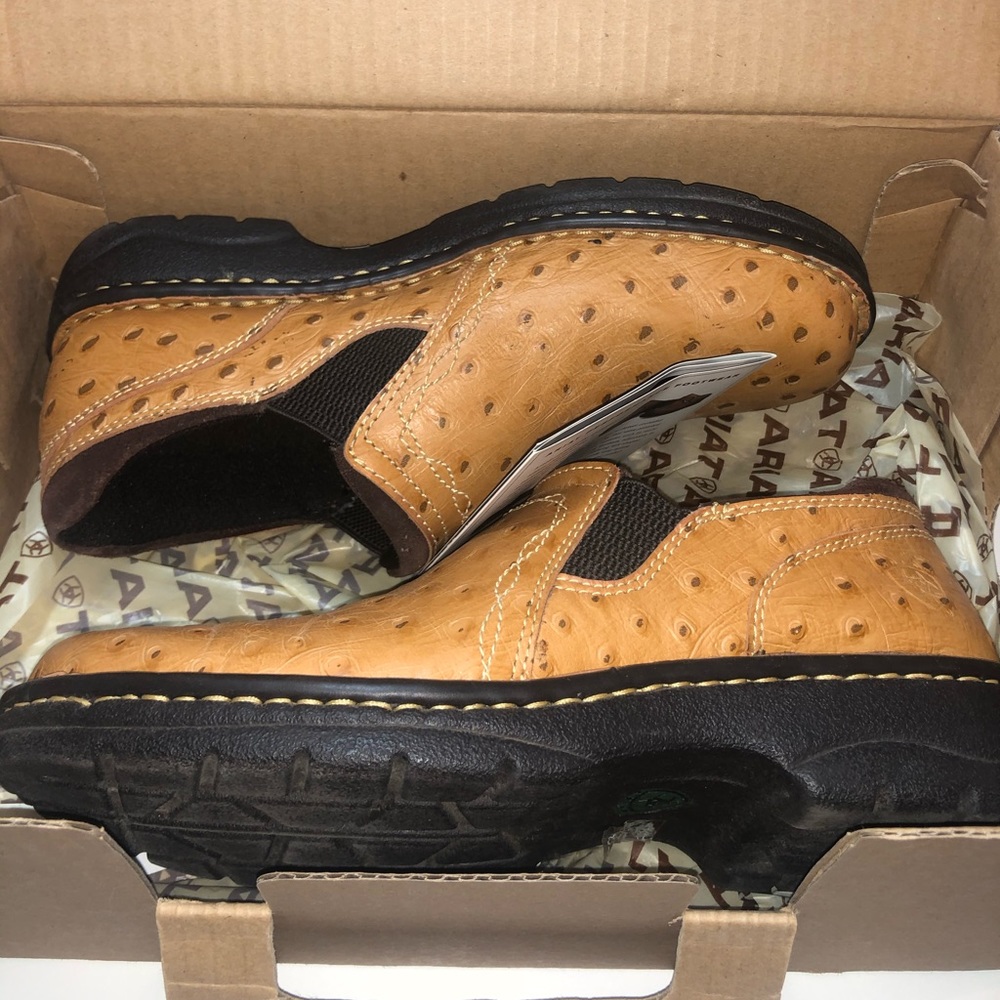 Ariat Loden 4LR